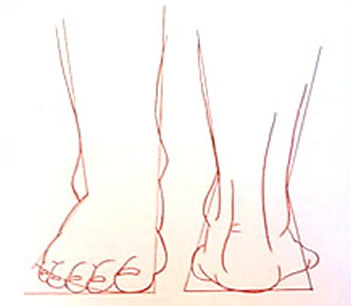 Dibujar los Pies